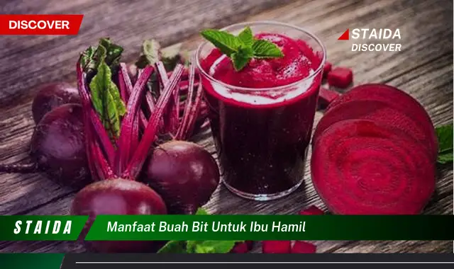 Temukan Manfaat Buah Bit untuk Ibu Hamil, Temuan Jarang Diketahui!