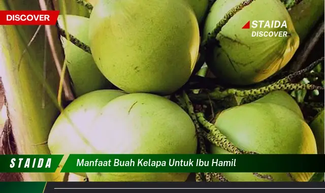 Temukan Rahasia Manfaat Buah Kelapa untuk Ibu Hamil yang Jarang Diketahui!