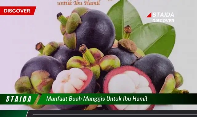 7 Manfaat Buah Manggis untuk Ibu Hamil yang Jarang Diketahui