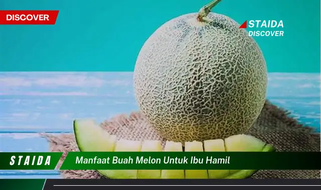 manfaat buah melon untuk ibu hamil