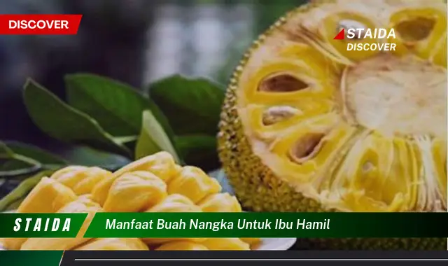 Temukan Khasiat Buah Nangka untuk Ibu Hamil yang Jarang Diketahui