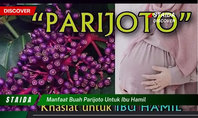 Temukan 7 Manfaat Buah Parijoto yang Jarang Diketahui Ibu Hamil