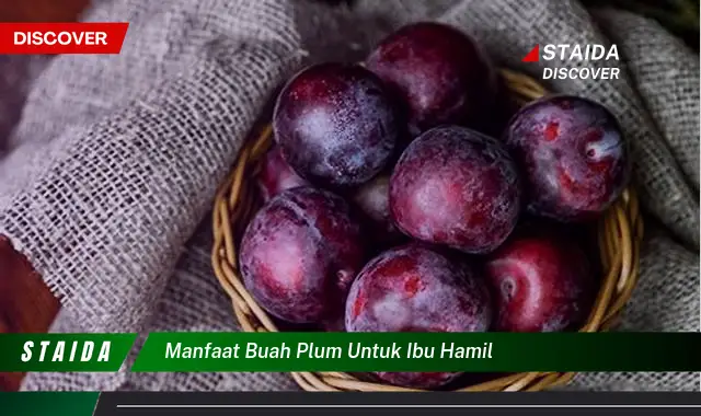 Temukan 7 Manfaat Buah Plum untuk Ibu Hamil