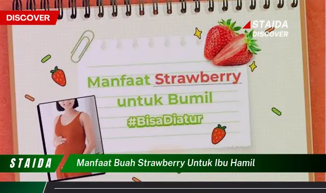 Temukan Manfaat Buah Strawberry untuk Ibu Hamil yang Belum Anda Ketahui