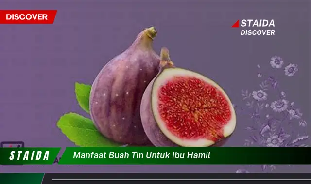 Temukan Manfaat Buah Tin untuk Ibu Hamil yang Wajib Diketahui