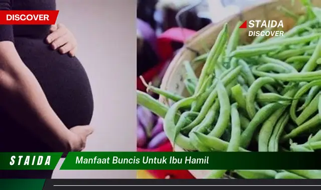 Temukan Manfaat Buncis untuk Ibu Hamil, Jarang Diketahui!