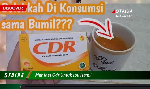 Temukan 7 Manfaat CDR untuk Ibu Hamil yang Jarang Diketahui