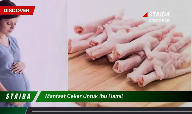 Temukan Manfaat Luar Biasa Ceker untuk Ibu Hamil yang Jarang Diketahui