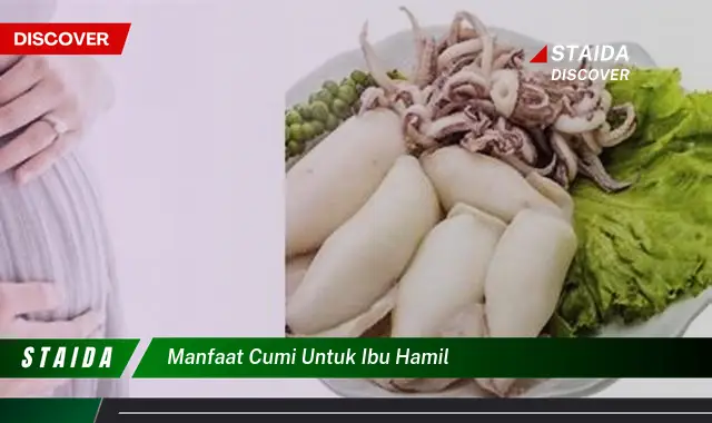 Temukan 7 Manfaat Cumi untuk Ibu Hamil yang Jarang Diketahui