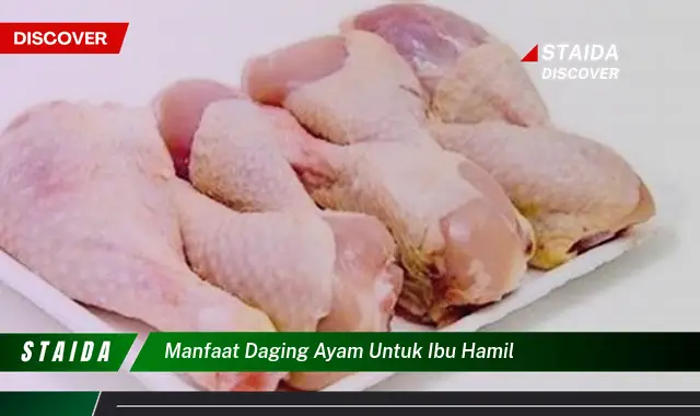 Temukan 7 Manfaat Daging Ayam untuk Ibu Hamil yang Jarang Diketahui