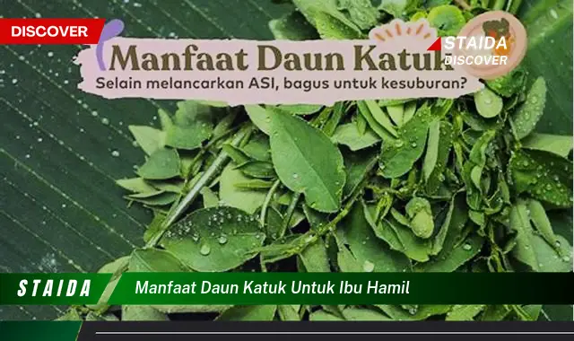 7 Manfaat Daun Katuk untuk Ibu Hamil yang Jarang Diketahui