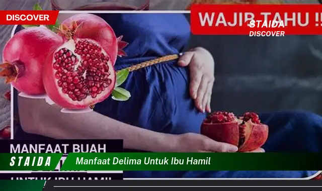 Temukan Khasiat Delima untuk Ibu Hamil yang Jarang Diketahui