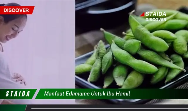 Temukan 7 Manfaat Edamame untuk Ibu Hamil yang Jarang Diketahui