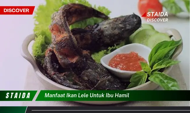 Temukan Manfaat Ikan Lele untuk Ibu Hamil yang Jarang Diketahui