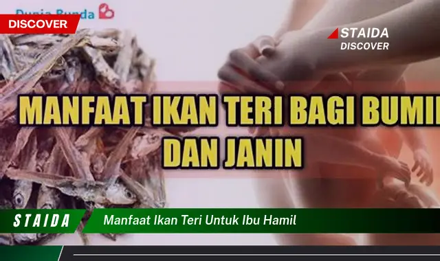 Ungkap Manfaat Ikan Teri untuk Ibu Hamil yang Jarang Diketahui