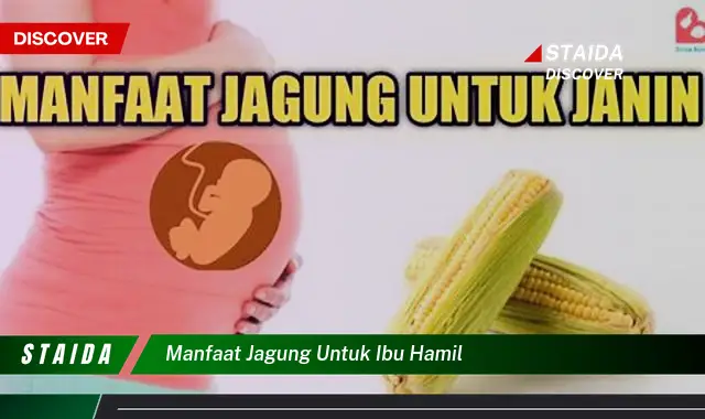 Temukan Khasiat Jagung untuk Ibu Hamil yang Jarang Diketahui