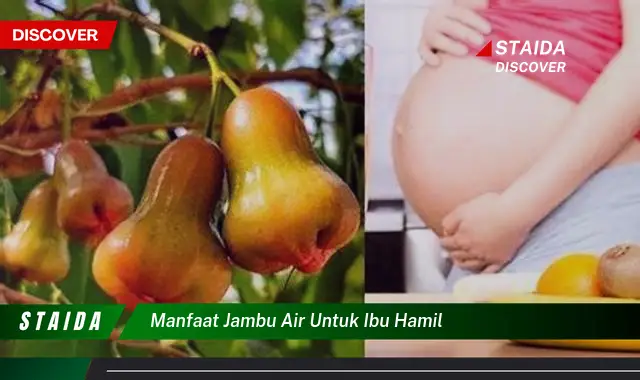 Temukan 7 Manfaat Istimewa Jambu Air untuk Ibu Hamil yang Jarang Diketahui