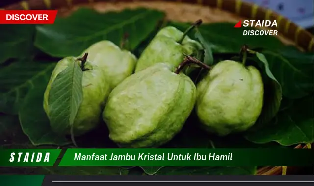 Temukan Manfaat Jambu Kristal untuk Ibu Hamil yang Jarang Diketahui