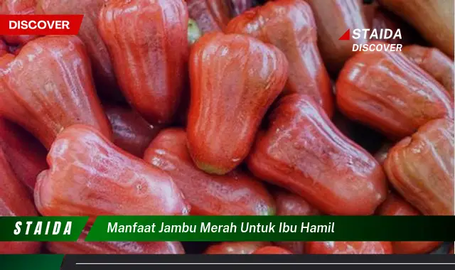 Temukan Manfaat Langka Jambu Merah untuk Ibu Hamil yang Jarang Diketahui