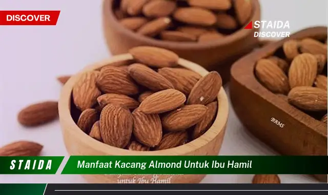 Temukan Rahasia Hebat Kacang Almond untuk Ibu Hamil