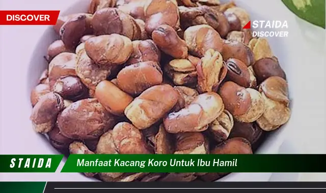 Temukan Manfaat Langka Kacang Koro untuk Ibu Hamil yang Tak Banyak Orang Tahu