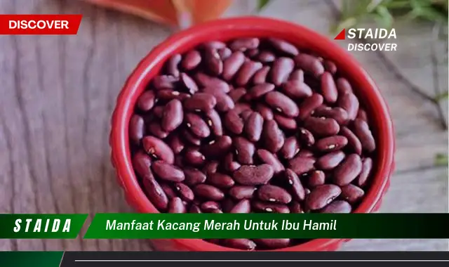 Temukan 7 Manfaat Kacang Merah yang Jarang Diketahui untuk Ibu Hamil