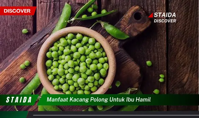 7 Khasiat Rahasia Kacang Polong untuk Ibu Hamil