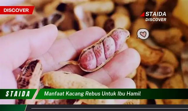 Temukan Rahasia Kacang Rebus untuk Ibu Hamil yang Jarang Diketahui