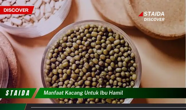 Temukan Manfaat Kacang yang Menakjubkan, Penting Diketahui Ibu Hamil!