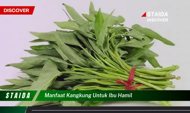 Temukan 7 Manfaat Kangkung untuk Ibu Hamil yang Jarang Diketahui