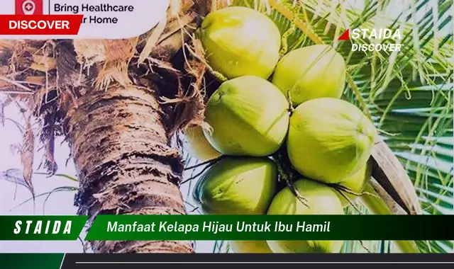 Temukan Manfaat Kelapa Hijau untuk Ibu Hamil