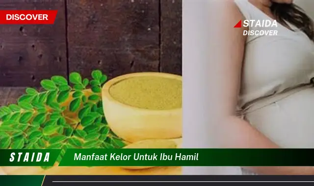 Temukan Manfaat Kelor untuk Ibu Hamil, Yang Jarang Diketahui!