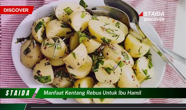 Temukan Manfaat Kentang Rebus untuk Ibu Hamil yang Jarang Diketahui