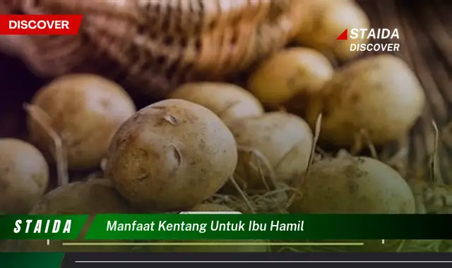 Temukan 7 Manfaat Kentang untuk Ibu Hamil yang Jarang Diketahui