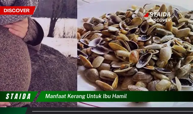 Temukan 7 Manfaat Kerang untuk Ibu Hamil yang Jarang Diketahui