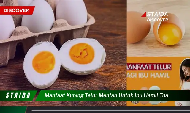 Temukan Rahasia Manfaat Kuning Telur Mentah untuk Ibu Hamil Tua yang Jarang Diketahui