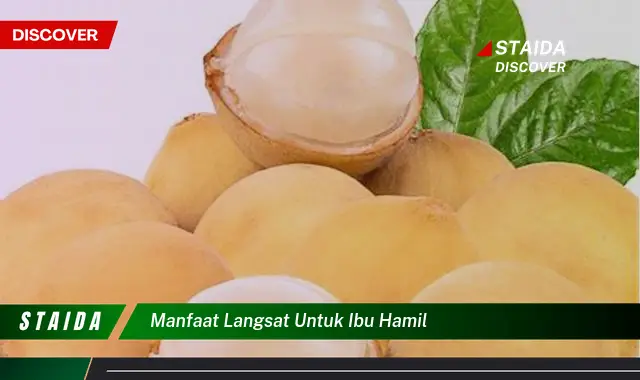 Temukan 7 Manfaat Buah Langsat yang Jarang Diketahui Ibu Hamil