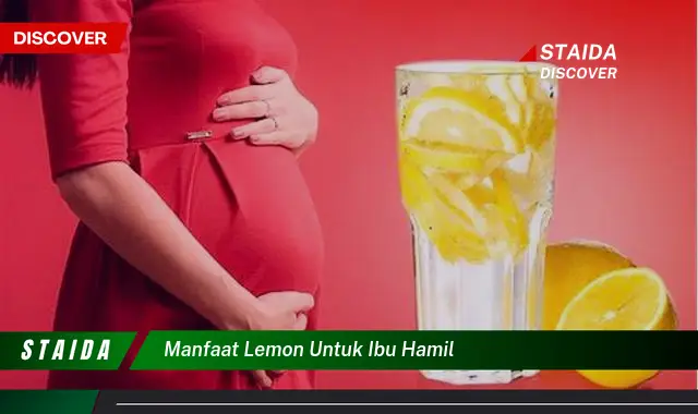 Manfaat Lemon untuk Ibu Hamil: Penemuan dan Wawasan Langka yang Harus Anda Tahu