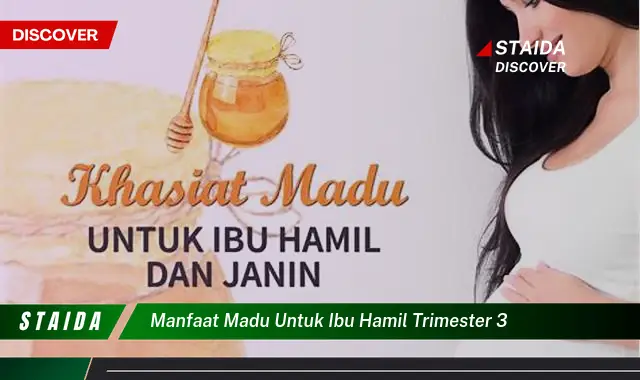 Temukan Manfaat Madu untuk Ibu Hamil Trimester 3 yang Jarang Diketahui