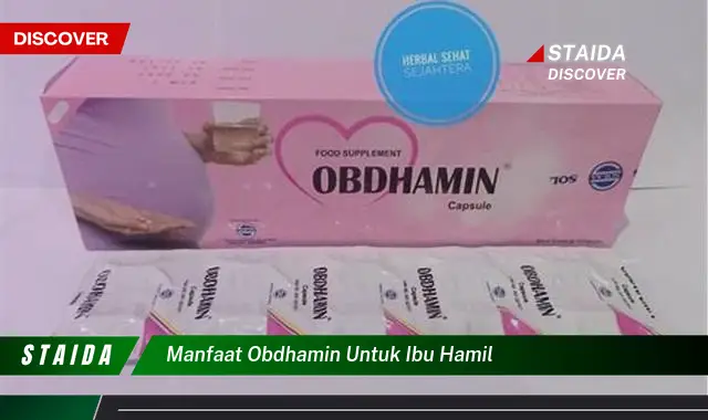 Temukan Manfaat Obdhamin untuk Ibu Hamil yang Jarang Diketahui