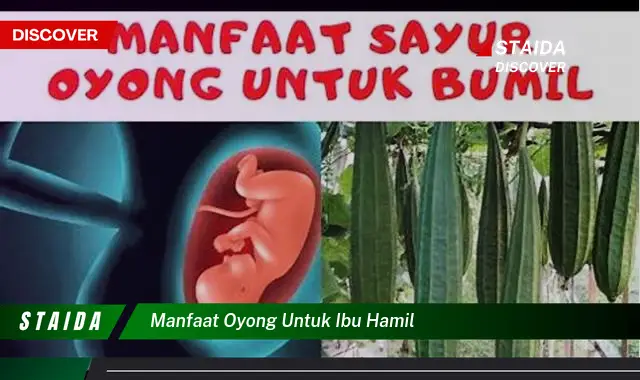 Temukan Manfaat Oyong untuk Ibu Hamil yang Jarang Diketahui