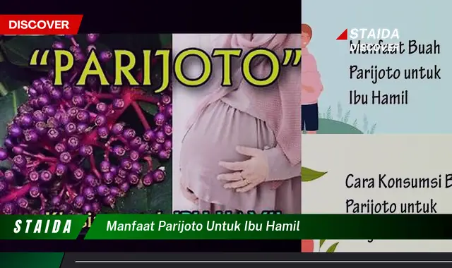 Temukan 7 Khasiat Parijoto untuk Ibu Hamil yang Jarang Diketahui