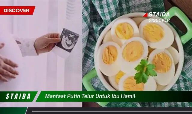 Temukan Manfaat Tersembunyi Putih Telur untuk Ibu Hamil yang Belum Diketahui