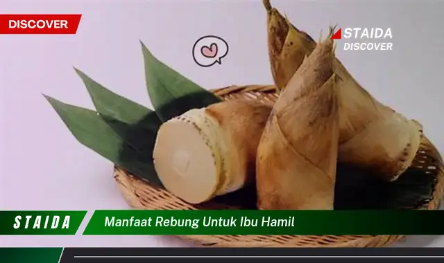 Temukan 7 Manfaat Rebung untuk Ibu Hamil Jarang Diketahui