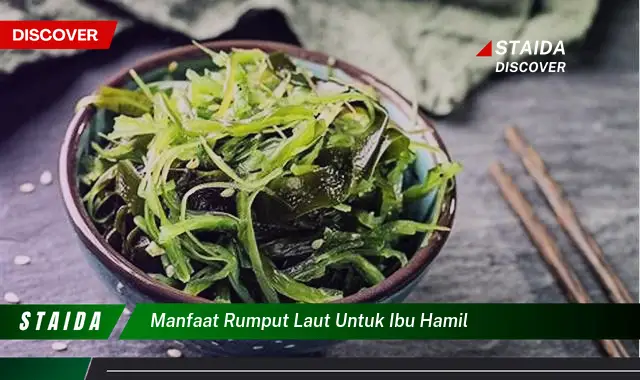 Temukan Manfaat Rumput Laut untuk Ibu Hamil yang Jarang Diketahui