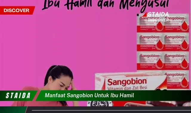 Temukan 7 Manfaat Sangobion untuk Ibu Hamil yang Jarang Diketahui