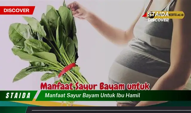 Temukan Manfaat Sayur Bayam untuk Ibu Hamil yang Jarang Diketahui