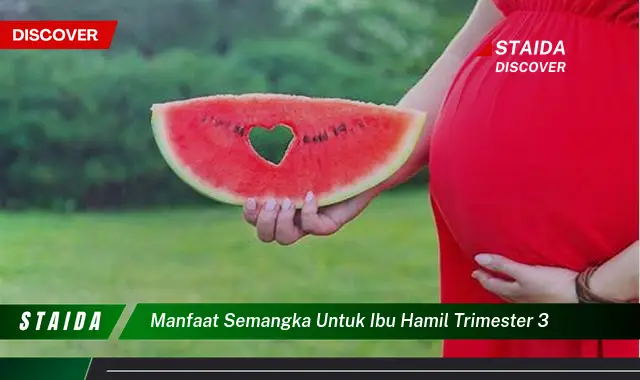 Manfaat Semangka yang Tak Terduga untuk Ibu Hamil Trimester Ketiga