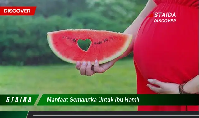 Temukan Manfaat Tersembunyi Semangka untuk Ibu Hamil yang Jarang Diketahui