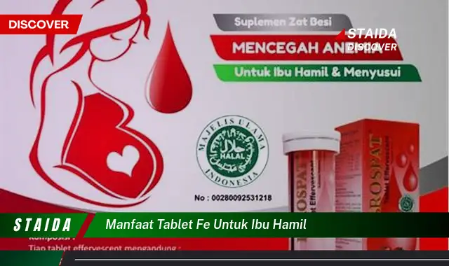 Temukan 7 Manfaat Tablet Fe untuk Ibu Hamil yang Jarang Diketahui